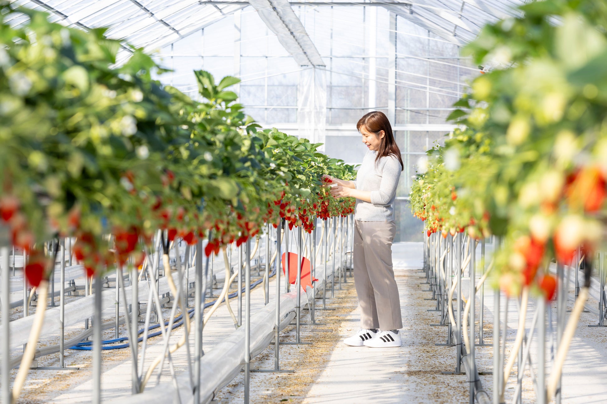 【こどもの休日の過ごし方】 冬のワンぱく1dayキャンプ~つくばわんわんランドでワンちゃんと素敵な思い出を作ろう!~