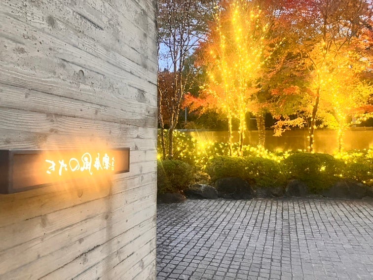 巨大ロボット搭乗操縦チケットが75%OFF_楽天トラベル スーパーSALE