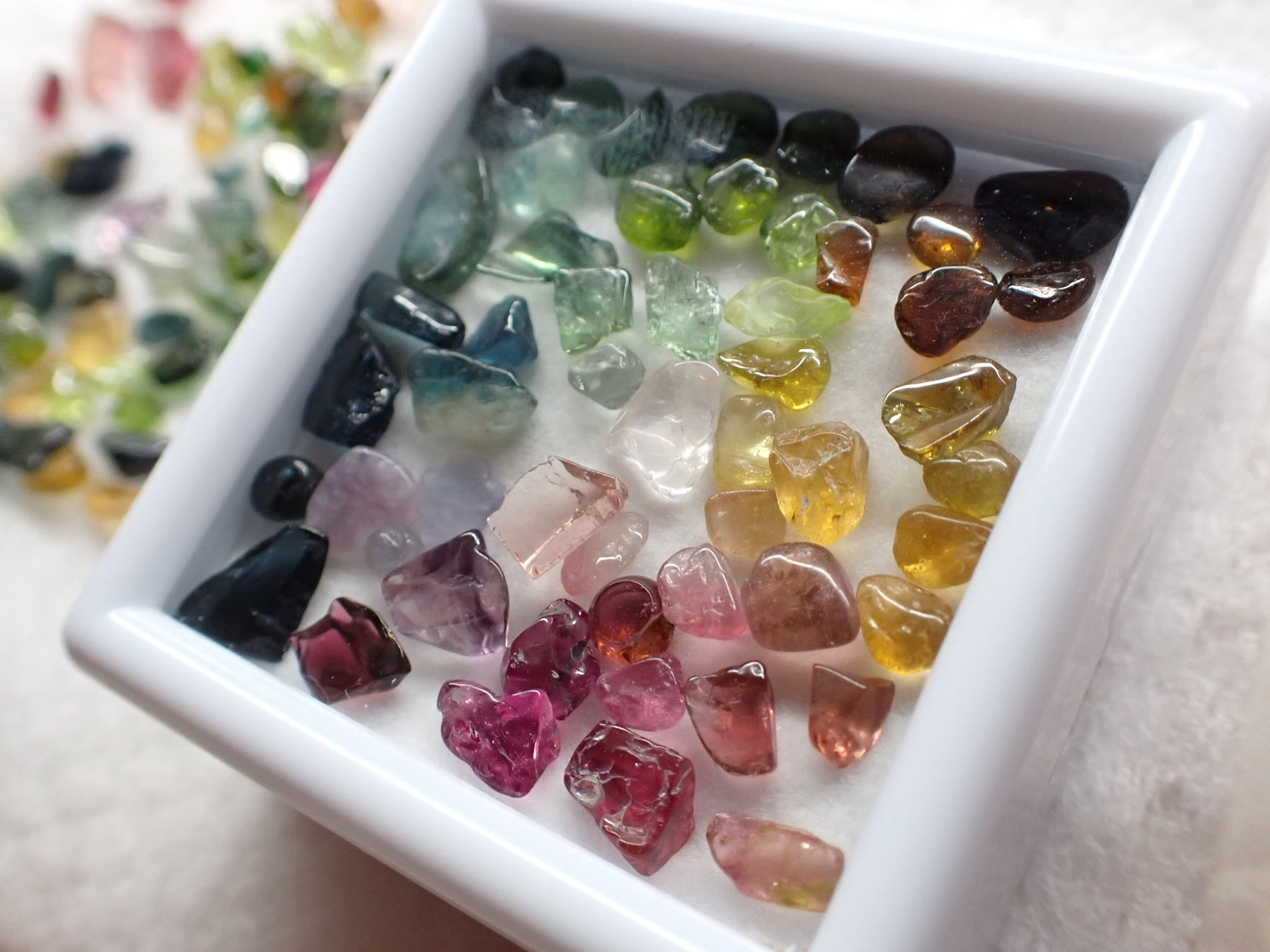 12/10まで【早割限定】駿府城公園でランタンナイト＆クリスマスマーケット！公式LINEで割引コード配布も実施中