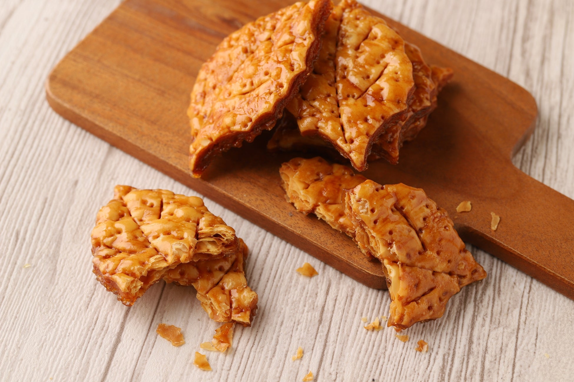 「群馬サファリパーク」におけるETCX運用開始のお知らせ