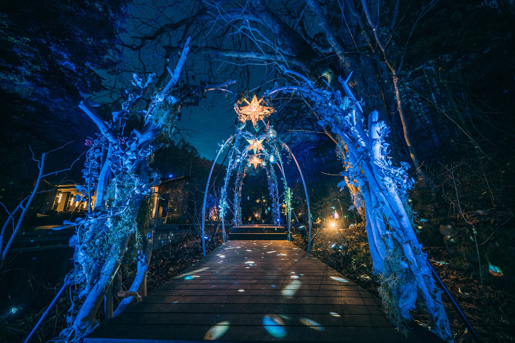 node hotel、ネルソン・ホー関西初の個展を開催