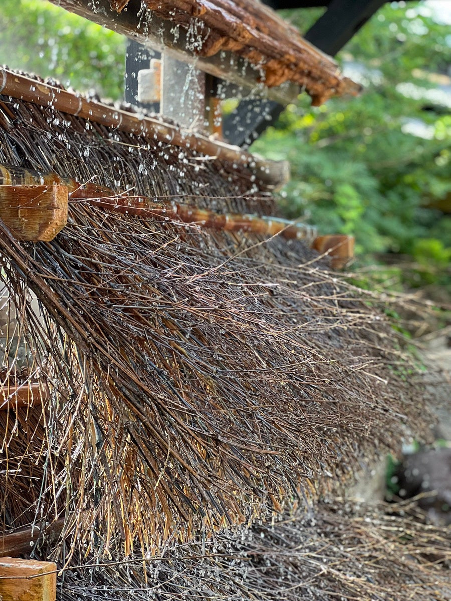 【2026年福袋】甘味処鎌倉×モンチッチ桐箱入りわらびもちが登場！