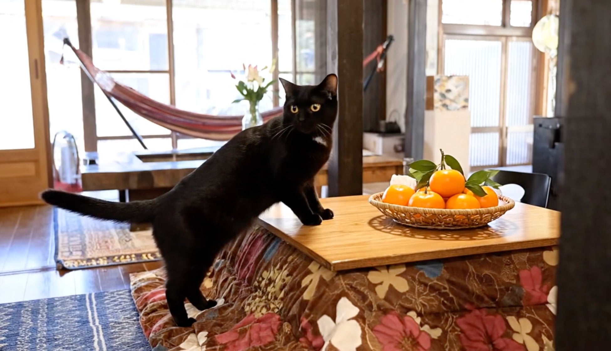 【北海道洞爺湖温泉/ザレイクビューTOYA乃の風リゾート】クリスマスケーキ受付開始！