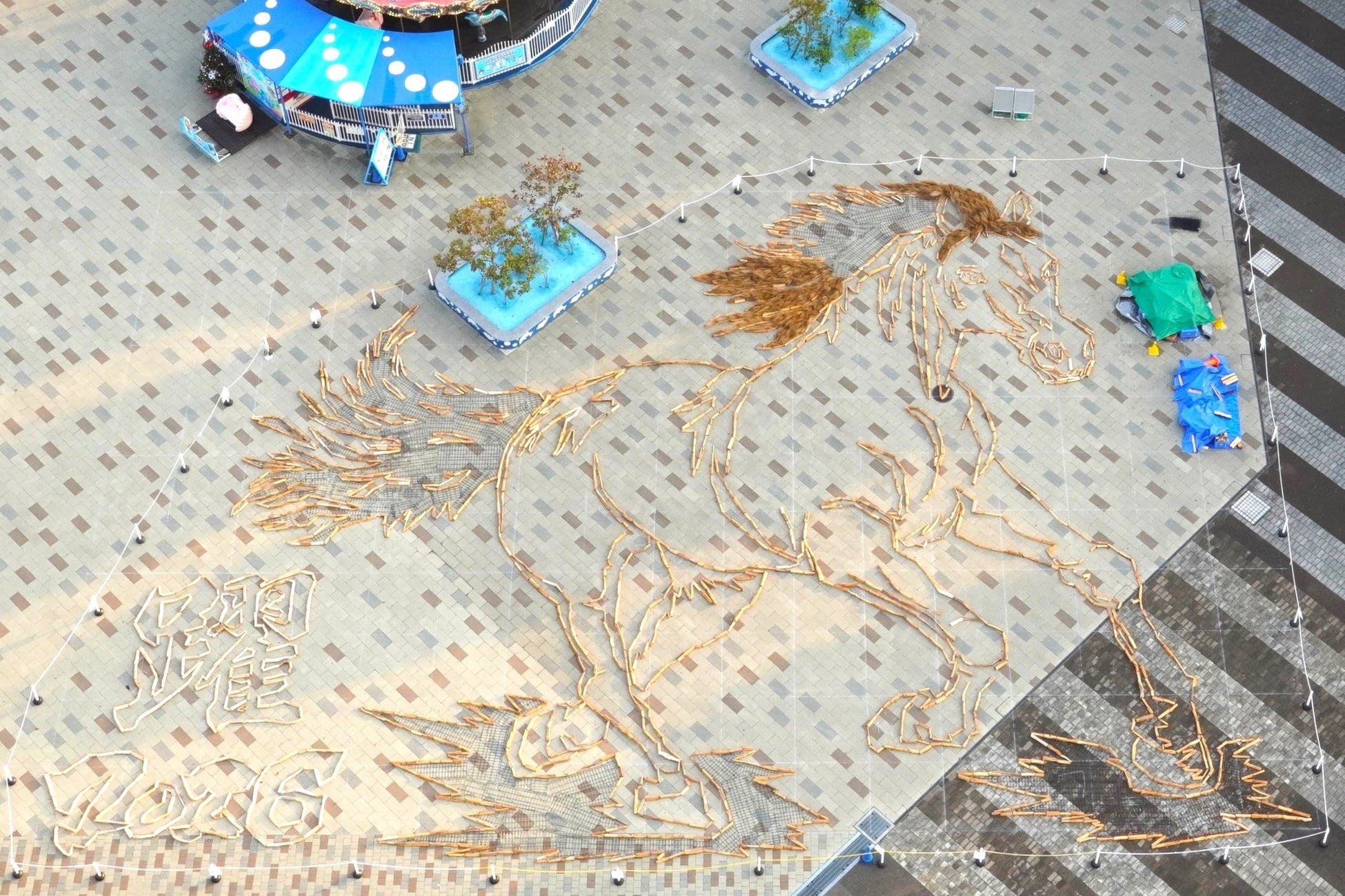 干支の巨大地上絵 制作中です（国営ひたち海浜公園）