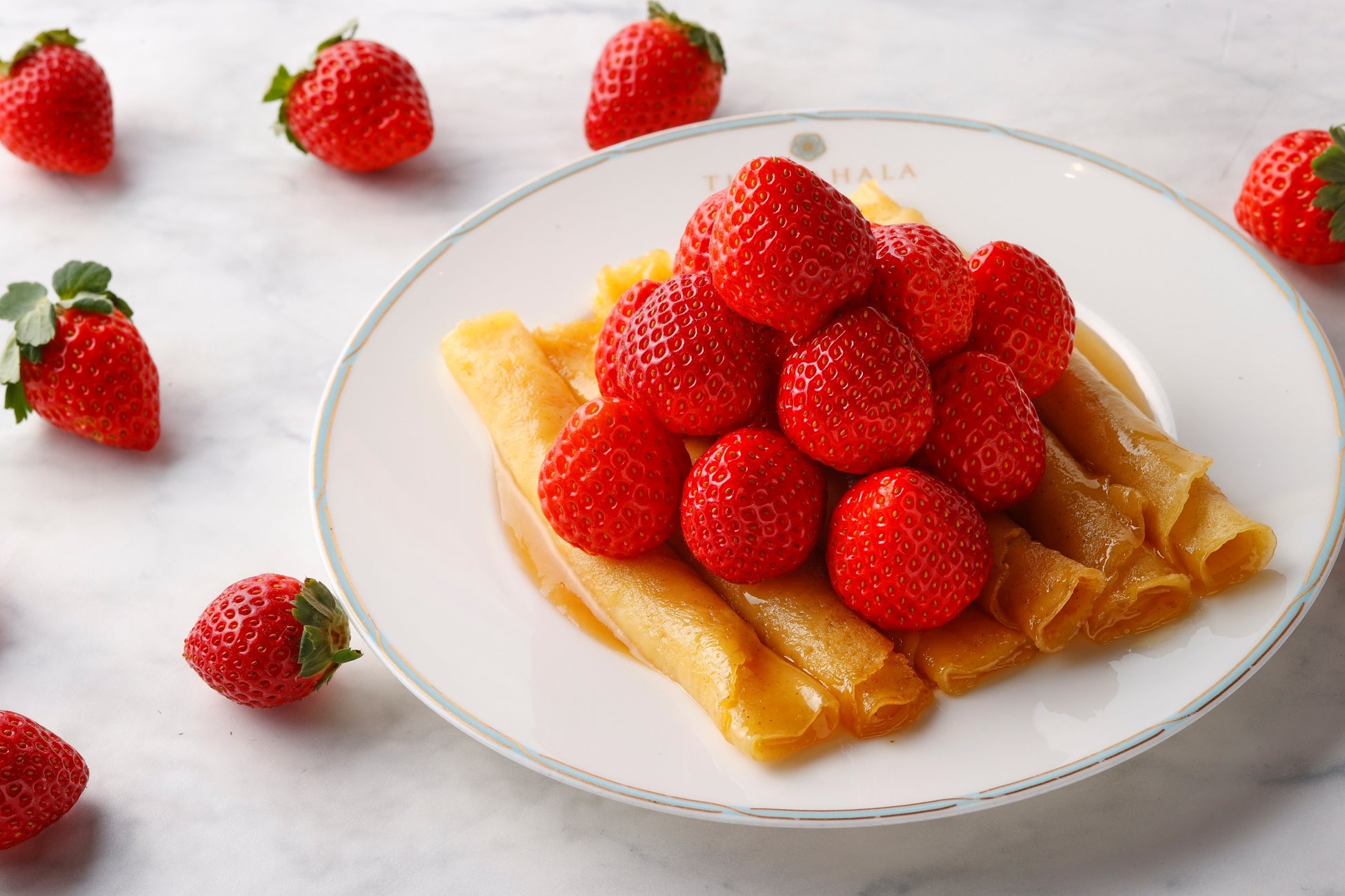 ALMIGOの4つのホテルブランドと今後の展開