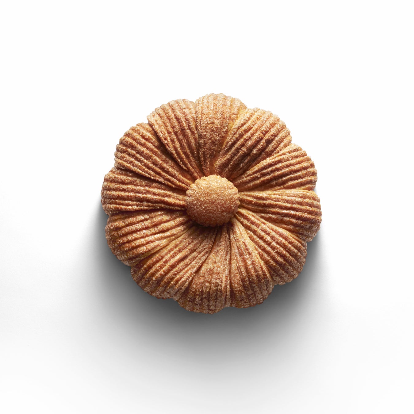 富士山麓のスキー場「ふじてんスノーリゾート」12月中旬のオープンに向けて人工降雪作業を開始！日本最速クワッドリフト導入で25-26ウィンターシーズンをもっと便利＆快適に！