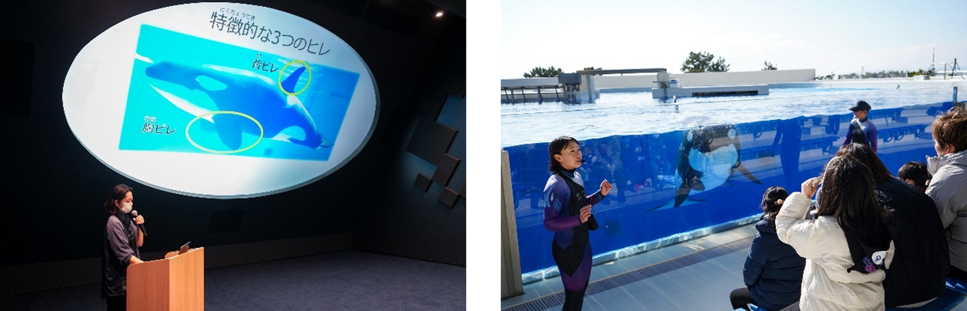 【都シティ 大阪天王寺】好評開催中の「本ズワイ蟹・マルズワイガニ＆ローストビーフ2種食べ比べ」に新メニューが登場