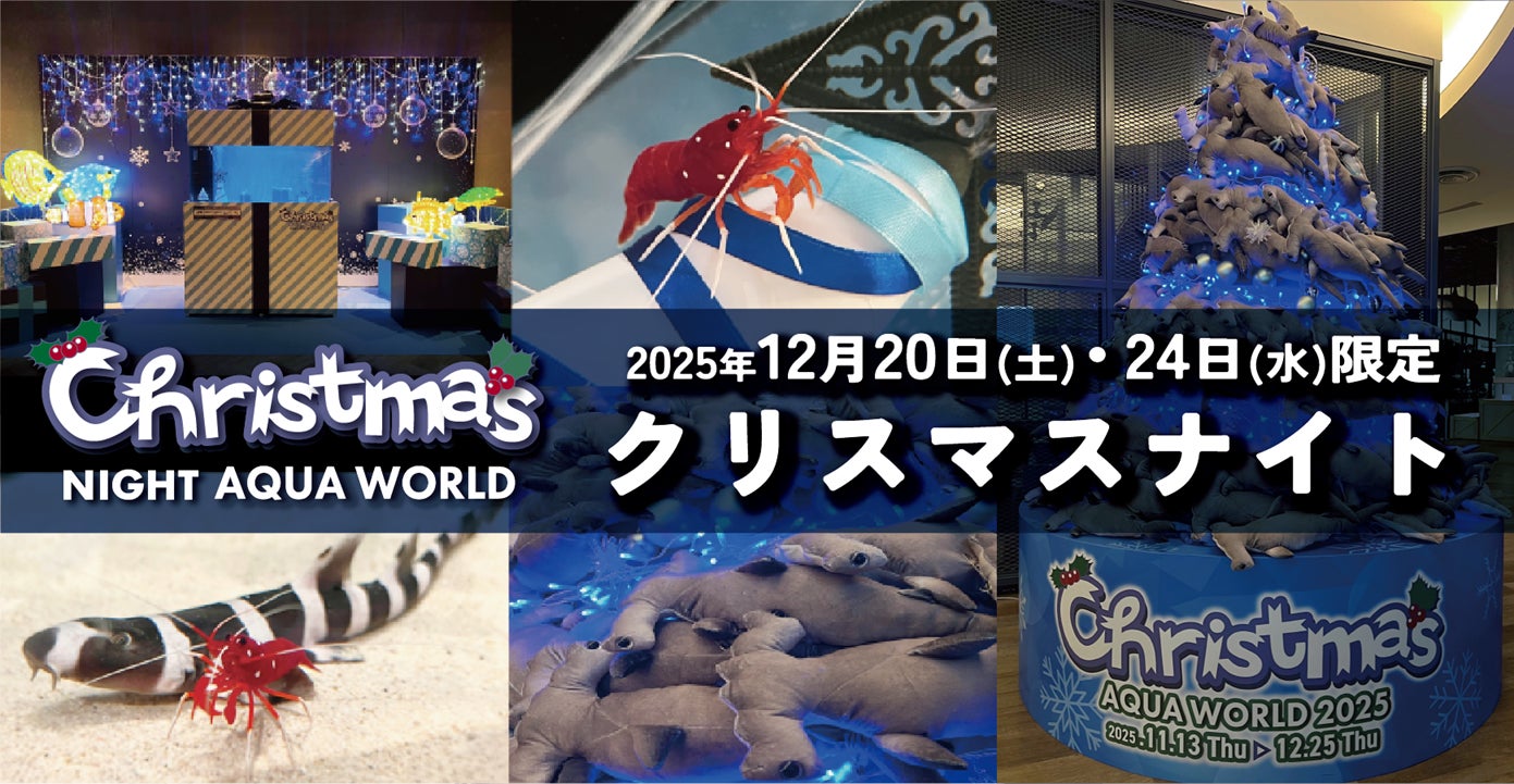 ２夜限定 アクアワールド・大洗で過ごす聖なる夜。NIGHT AQUAWORLD特別版 “クリスマスナイト”開催