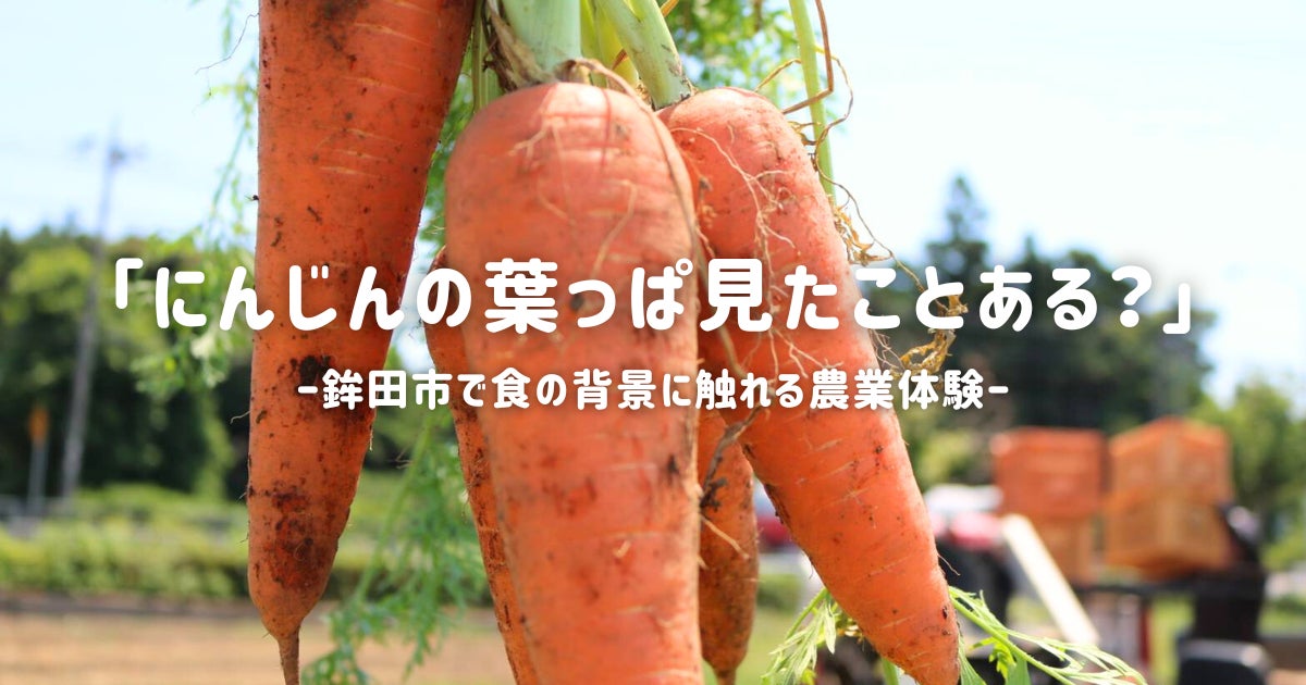 鉾田市農業体験プロジェクト第五弾「食育×にんじん収穫」五右衛門.farmで農業体験 親子参加も大歓迎