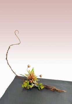 好古園「雑草いけばな展」を開催します