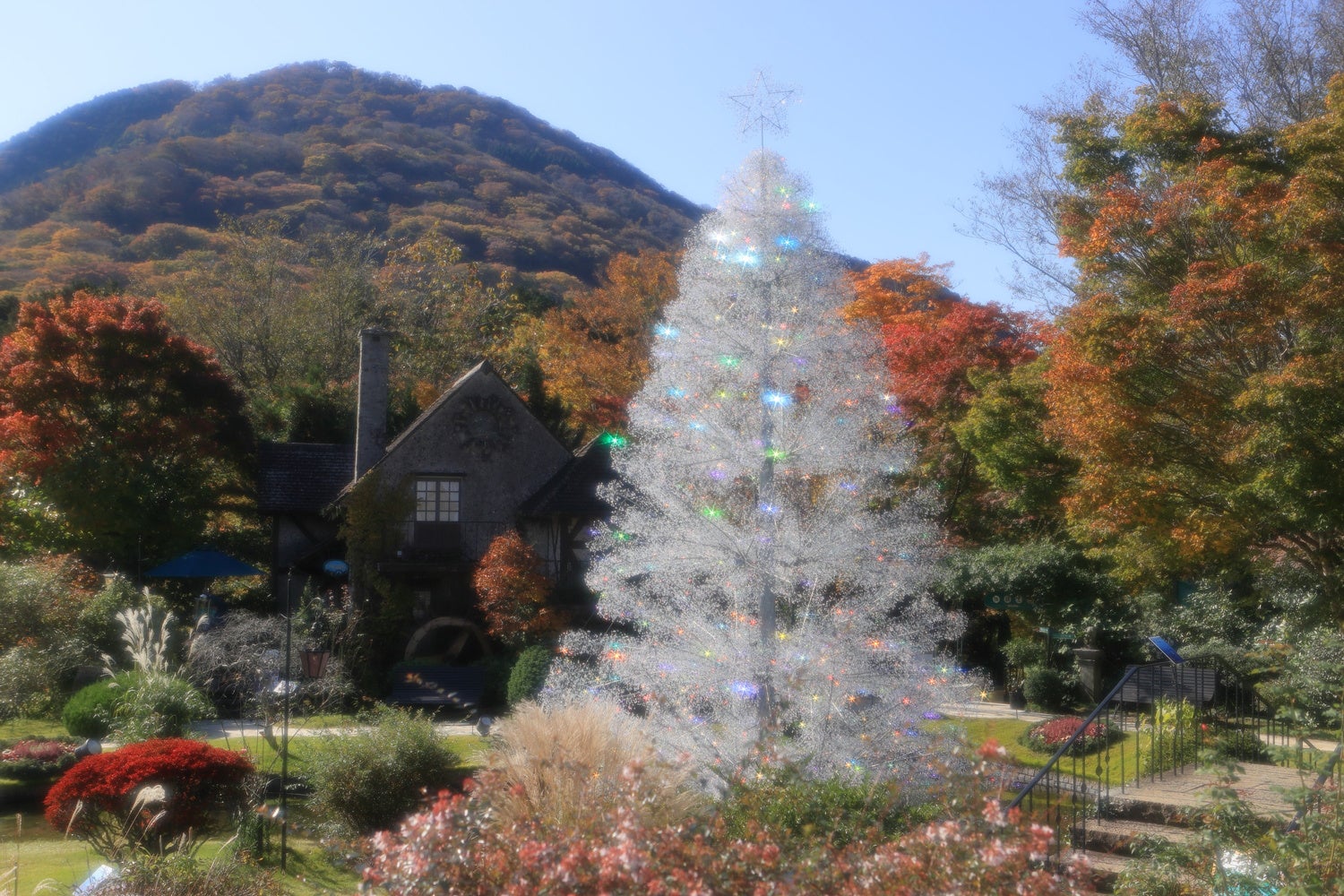 【第1弾！　天悠×箱根ガラスの森美術館 特別企画】～冬季限定コラボレーション～ 「冬の箱根、ガラスアートと煌めく光の演出」
