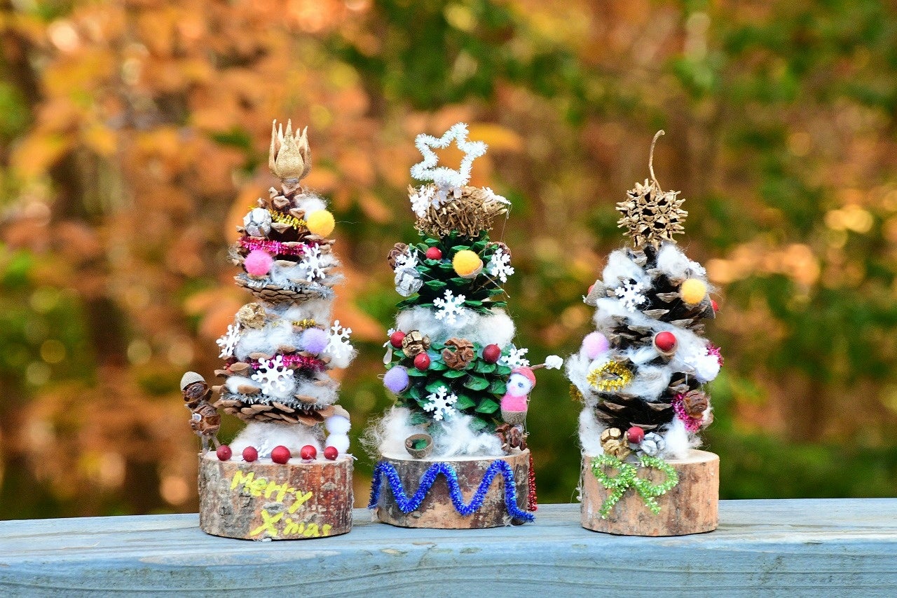 体験で彩る冬時間「クリスマスイベント」開催｜国営アルプスあづみの公園【大町・松川地区】