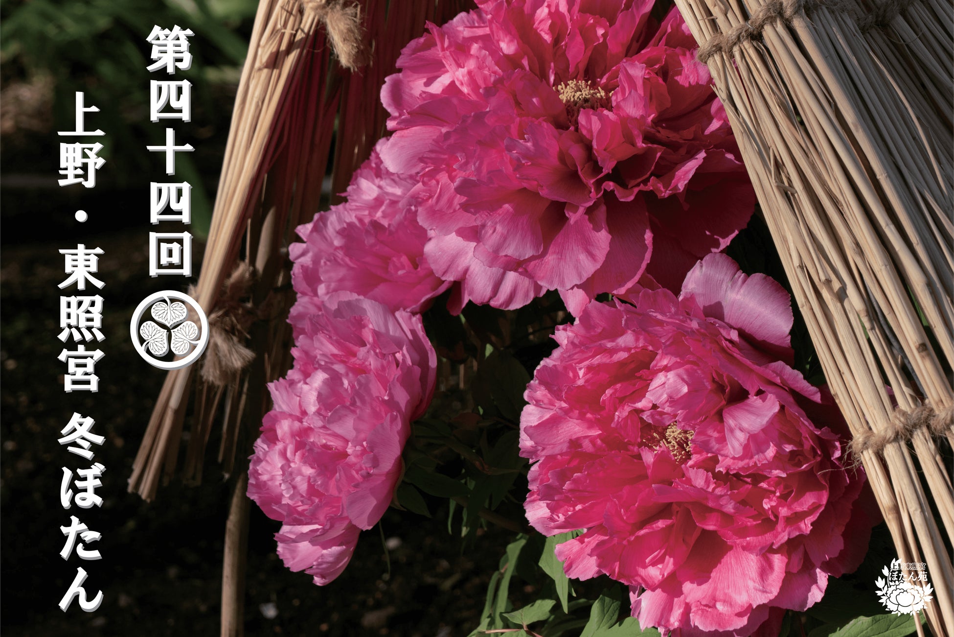 大阪・関西万博で話題集めた「人間洗濯機」がミナミのホテルに「道頓堀クリスタルホテルⅢ」で12月10日より国内最速で稼働開始