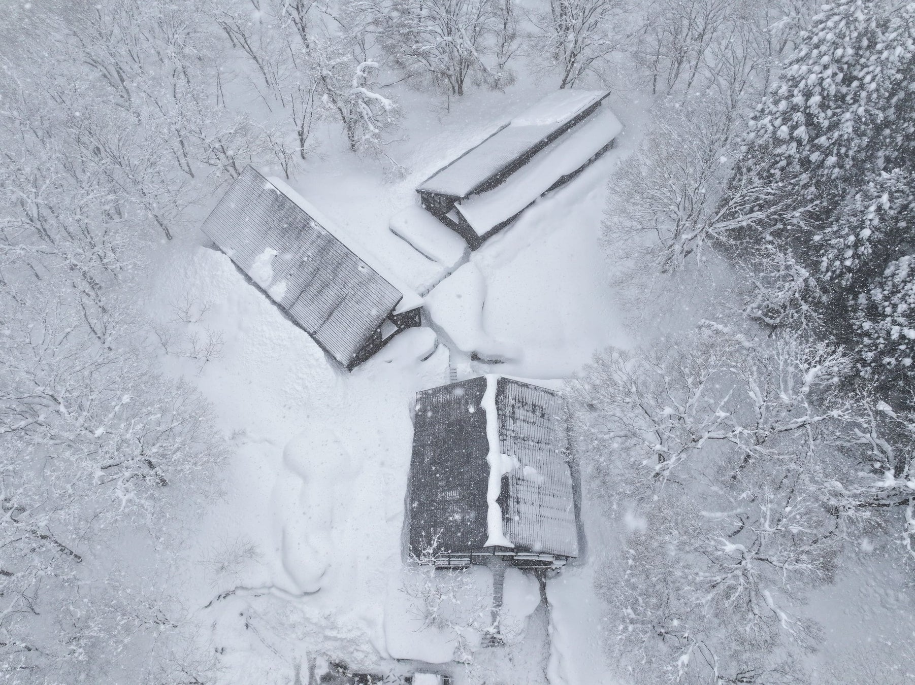 新潟県妙高市にホテルをリノベーションしたサウナリトリート施設「サウナイン新潟妙高高原」プレオープン