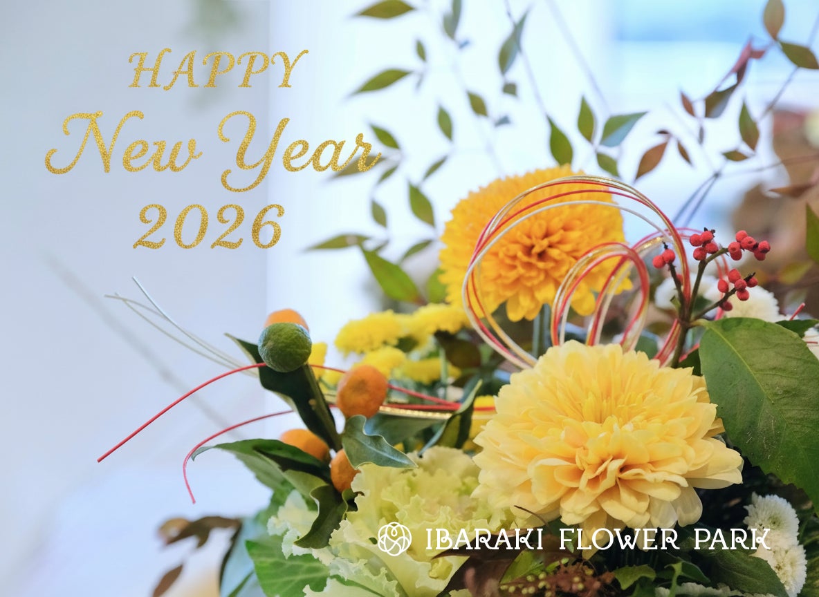 みやぎ蔵王えぼしリゾート12月12日(金)に石子ゲレンデよりオープン決定!