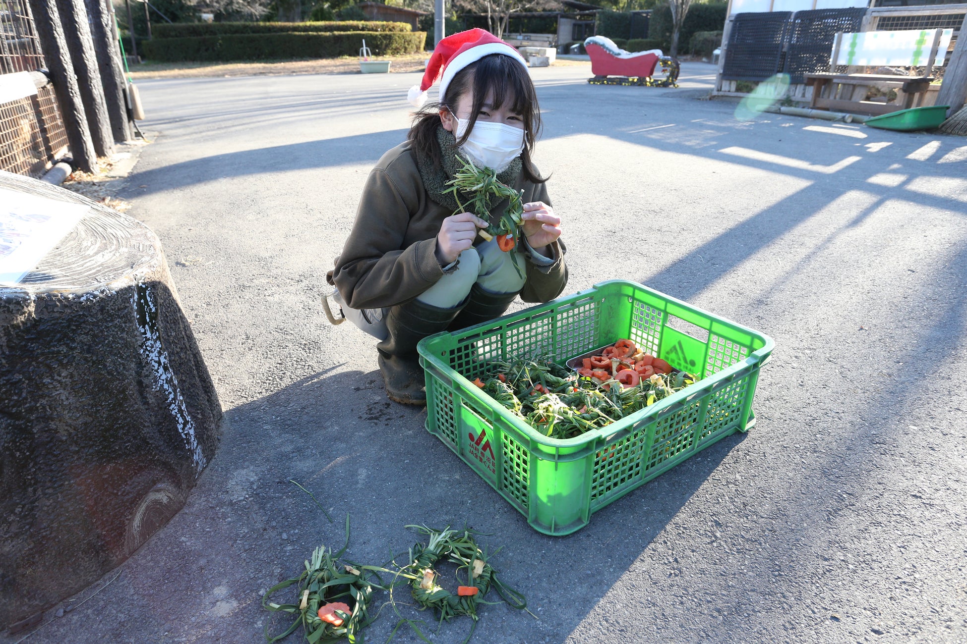 群馬サファリパーク、動物たちと過ごす特別なクリスマス