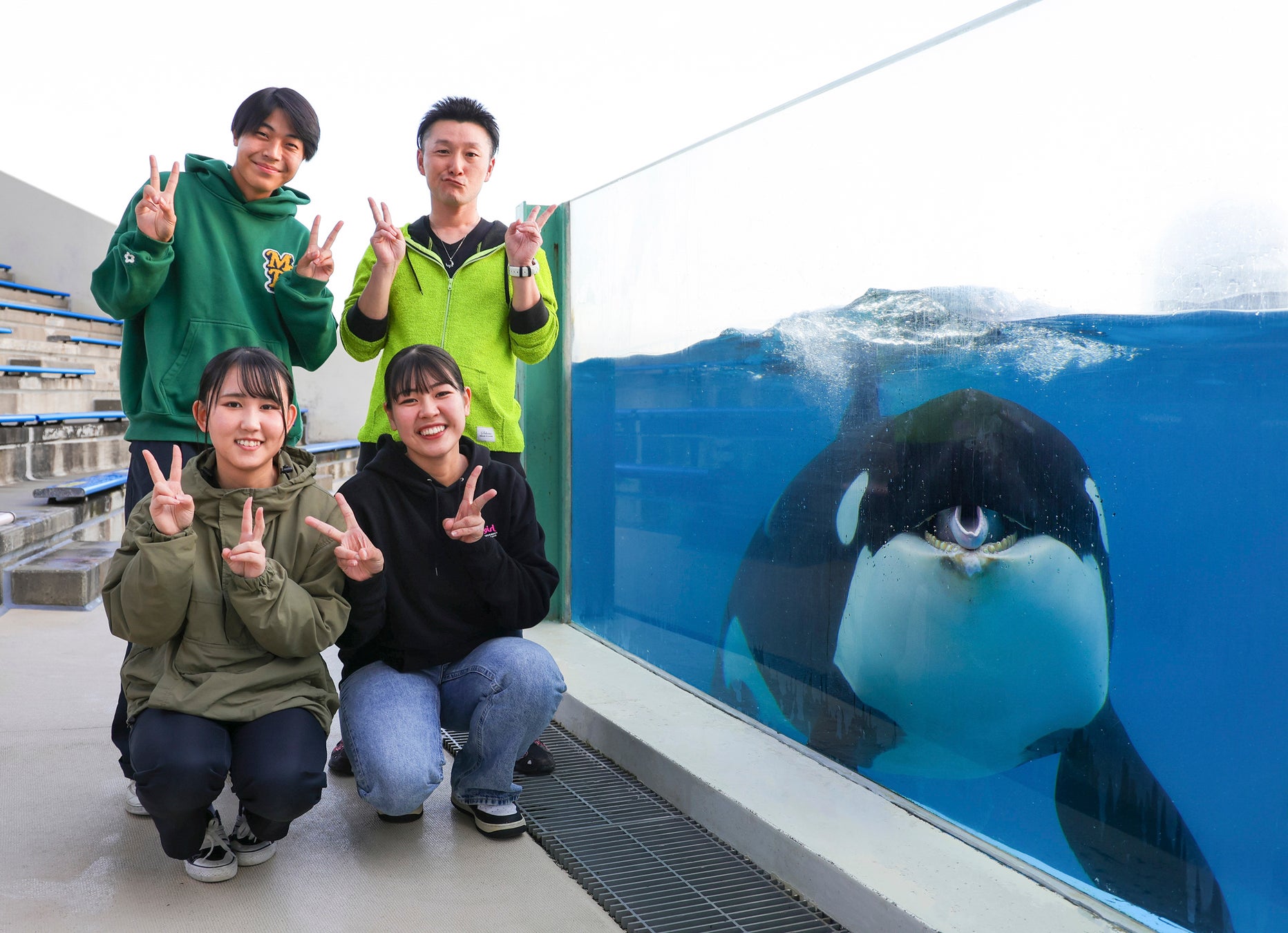 【鴨川シーワールド】すぐそこにシャチ！？関東唯一の記念写真を撮影しょう！！ 1日7組限定「シャチと記念写真」開催決定