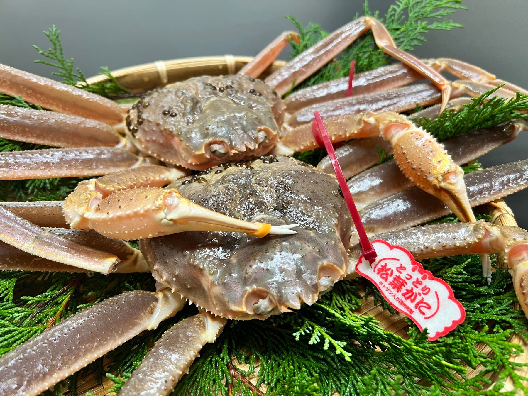 【愛媛・大洲】冬の観光“新定番”開発に向けたプロジェクトを始動NIPPONIA HOTEL 大洲城下町、南予の冬景色と郷土料理を愉しむ「こたつ舟遊覧朝食」を2日間限定で先行提供