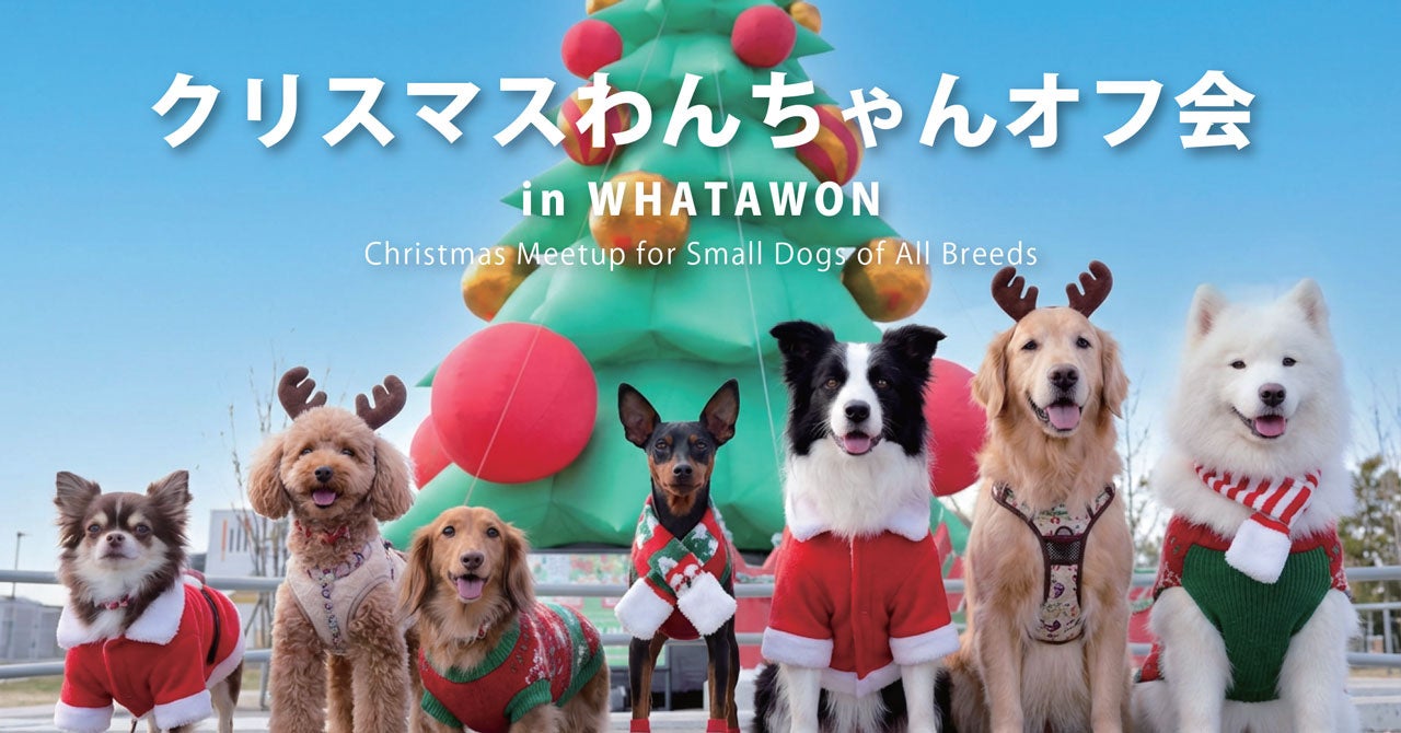 開催迫る！愛犬と行けるクリスマス！小型犬・大型犬別で楽しめるWHATAWONドッグラン【大阪】