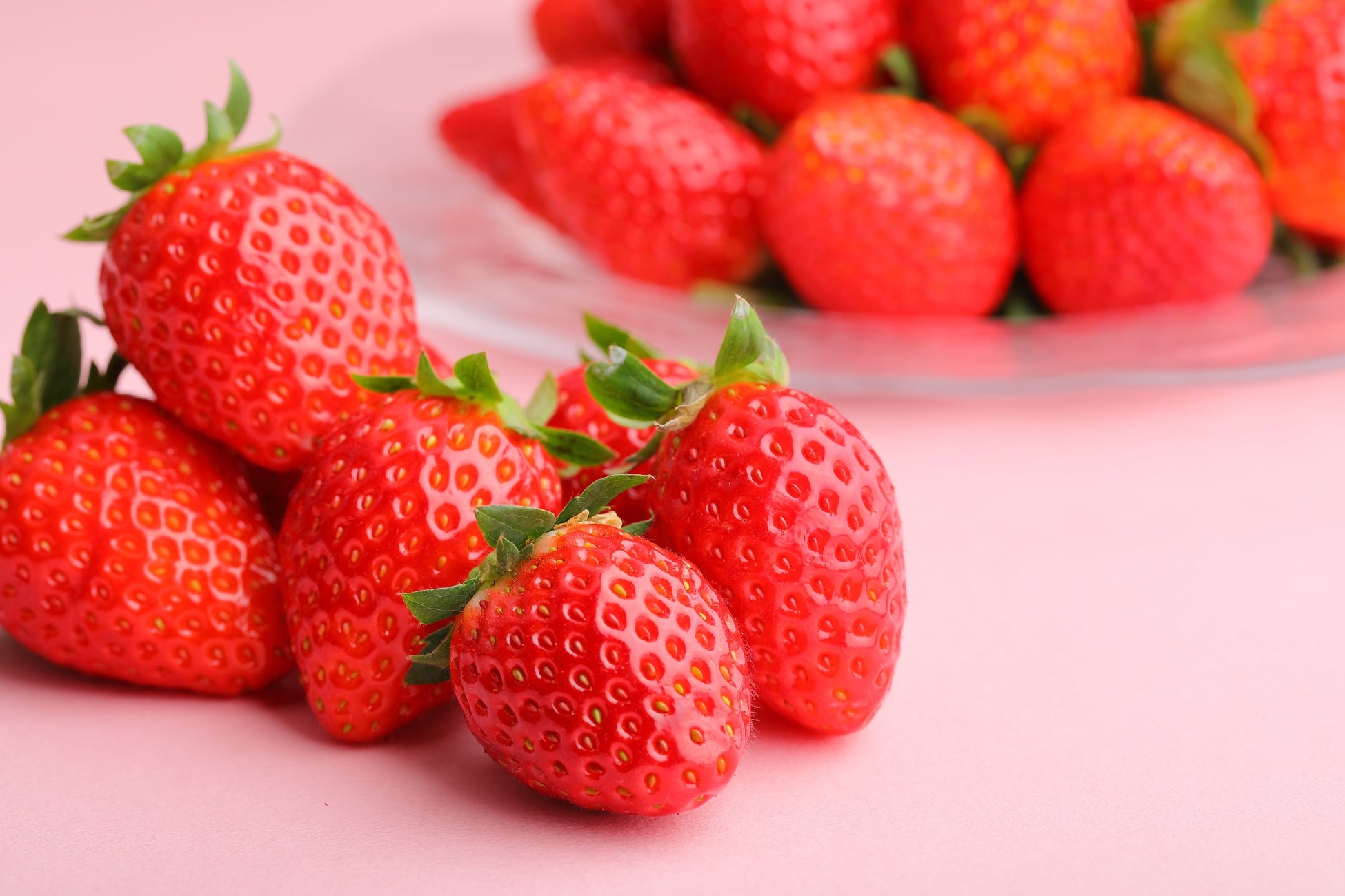 【愛用オーナーが語る】アジア太平洋No.1ディーラーがつくるデュカトキャンピングカーの最高峰「DA VINCI(ダヴィンチ)」——その魅力を徹底解剖