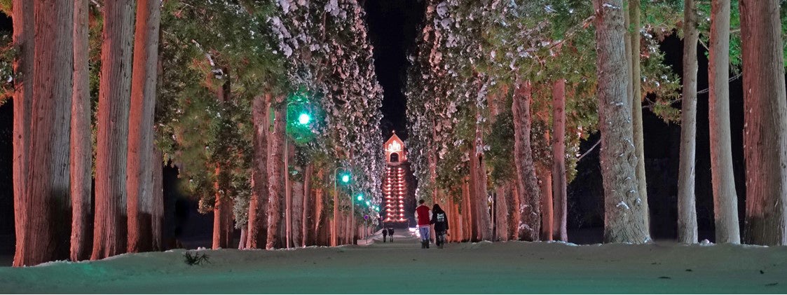 北海道北斗市、キャンドルで彩る『北斗光回廊』12月17日から開催―トラピスト修道院並木道が幻想的なクリスマス空間に―