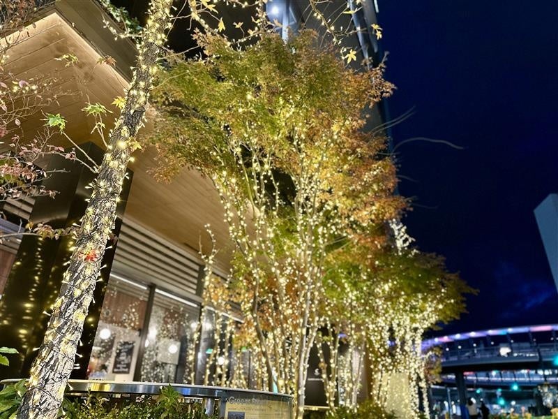 【期間限定】四日市本社を彩る、冬のイルミネーション