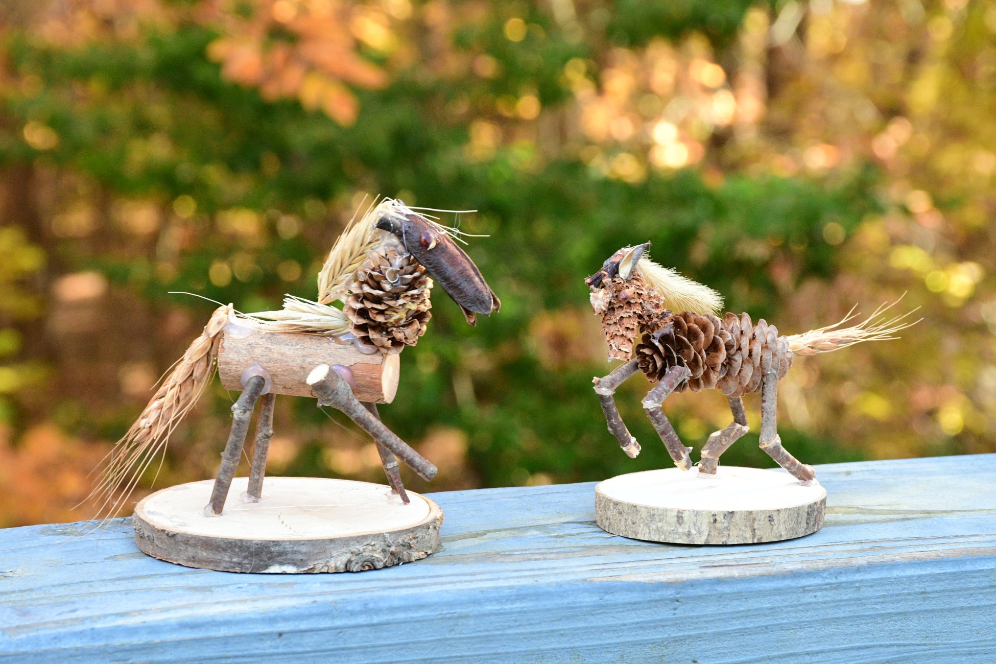 新年は2日より開園「お正月イベント」開催｜国営アルプスあづみの公園【大町・松川地区】