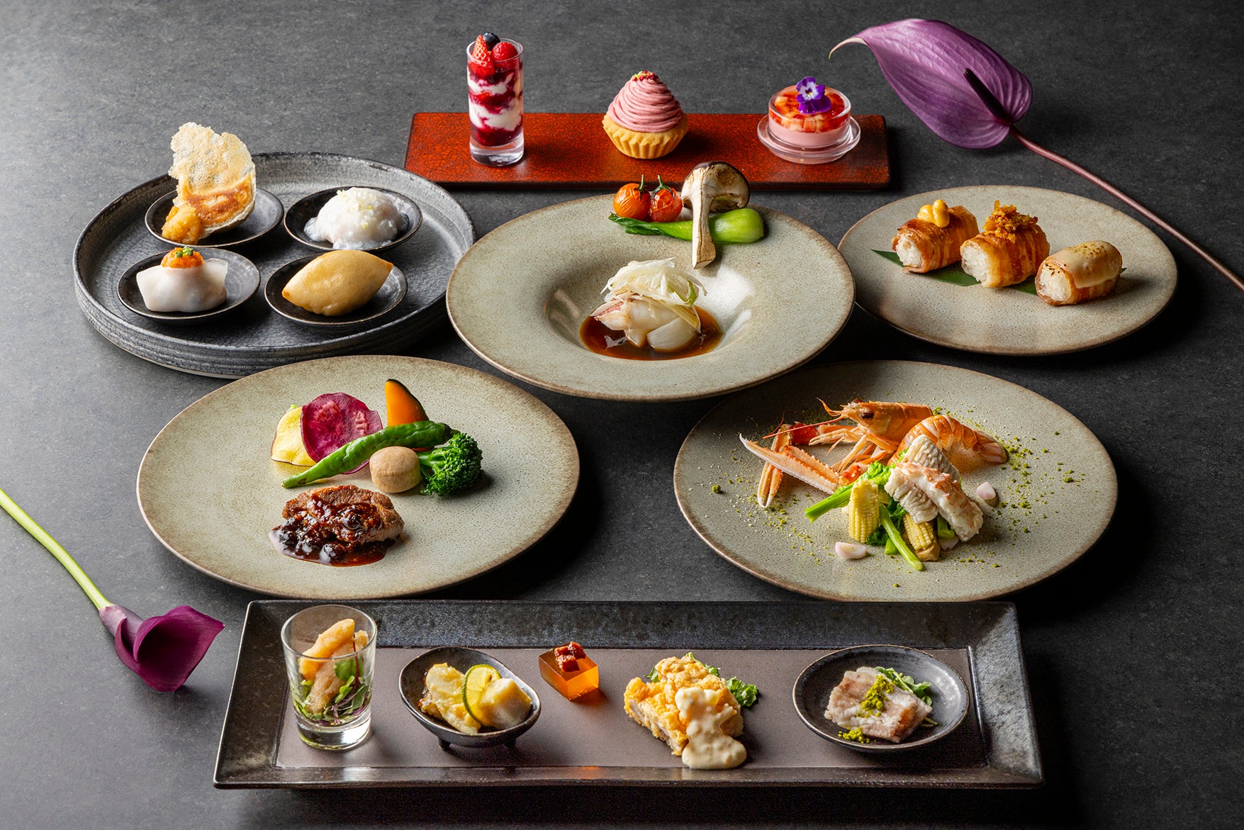 高槻市の川づくり団体「芥川倶楽部」の20年間の活動を振り返る企画展が開催