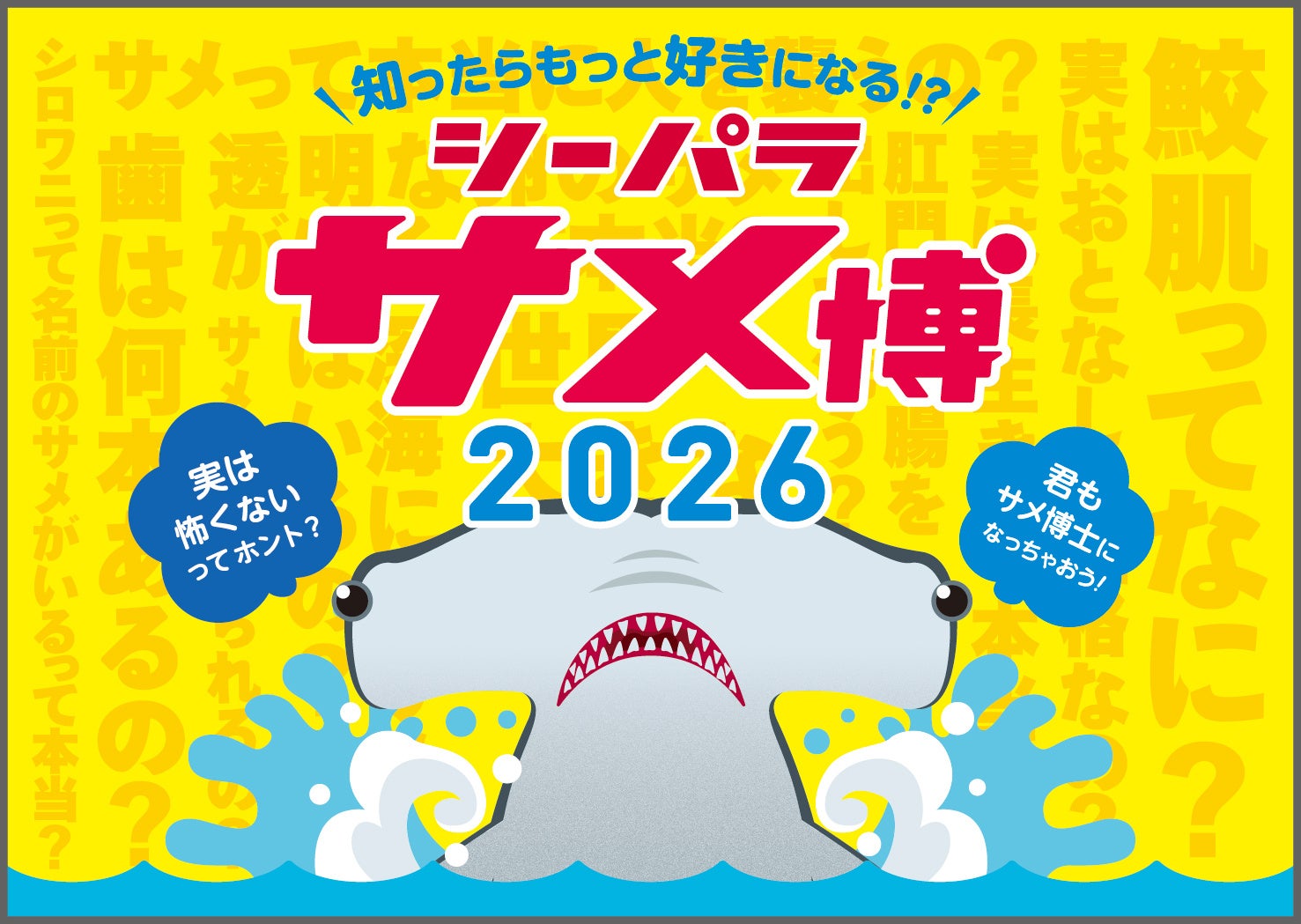 【横浜・八景島シーパラダイス】期間限定で水族館「ドルフィン ファンタジー」が大変身！？五感で楽しむサメ特化型の特別展を開催！『シーパラ サメ博２０２６』【２０２６年１月９日（金）～４月５日（日）】