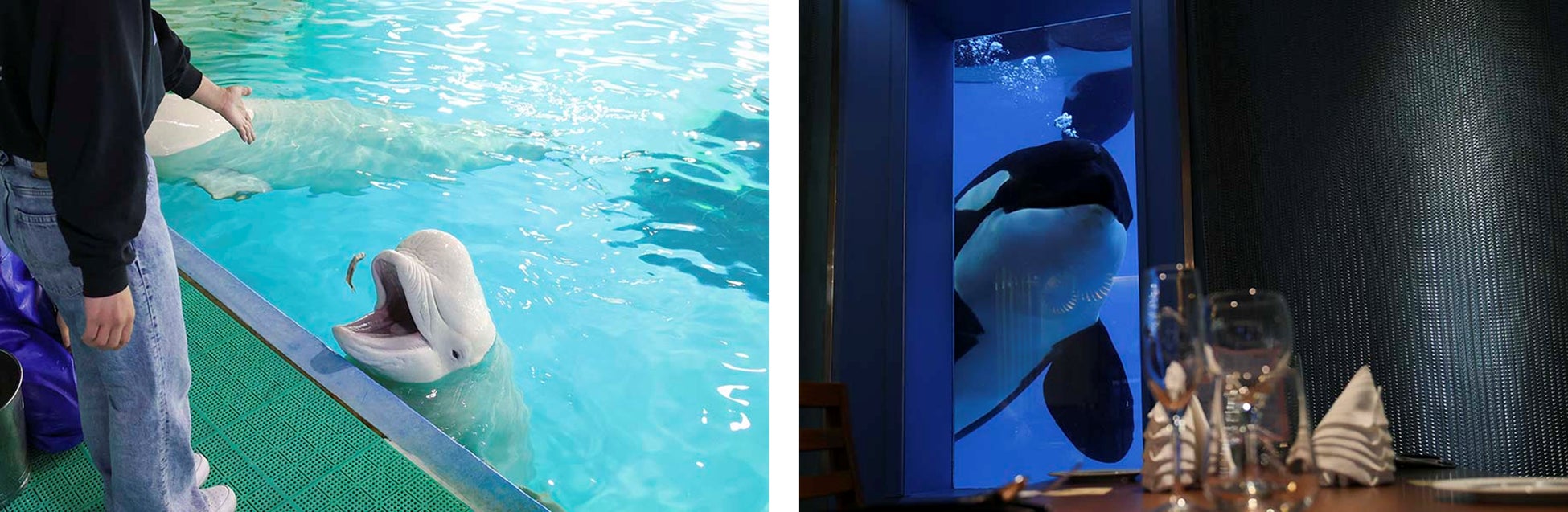 宿泊施設の運営および事業再生を行う株式会社オルカ、40年以上愛された老舗ホテルを「KANSEI null 佐賀」として再構築し、12月20日に開業