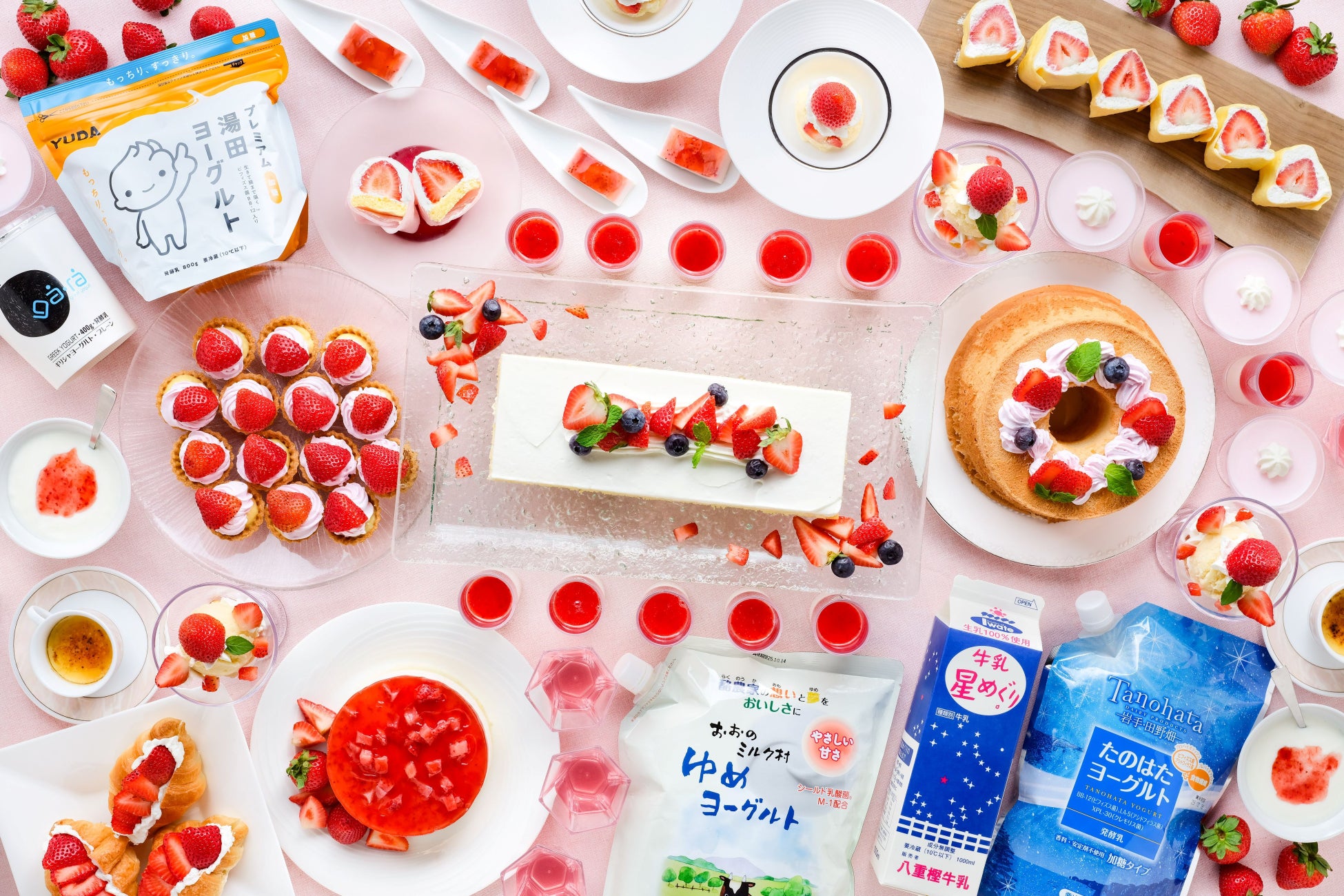 【鴨川シーワールド】夜の水族館で「Learning：学習」×「Vacation：休暇」！ 体験とゆったり時間を堪能する「大人の学習休暇(Learcation：ラーケーション)プラン」開催