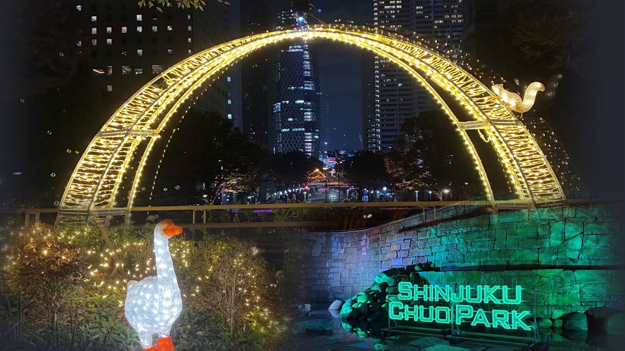 新宿中央公園 ビル街と公園のフォトジェニックなイルミネーション「TWINKLE PARK」