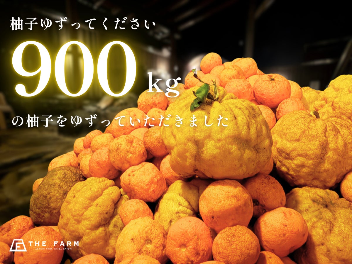地域の柚子が“900kg”集まる。おふろcaféかりんの湯、冬至に合わせ「柚子ゆずってください」実施—集まった柚子で“ゆず風呂”開催中＆限定「ゆずパスタ」も提供