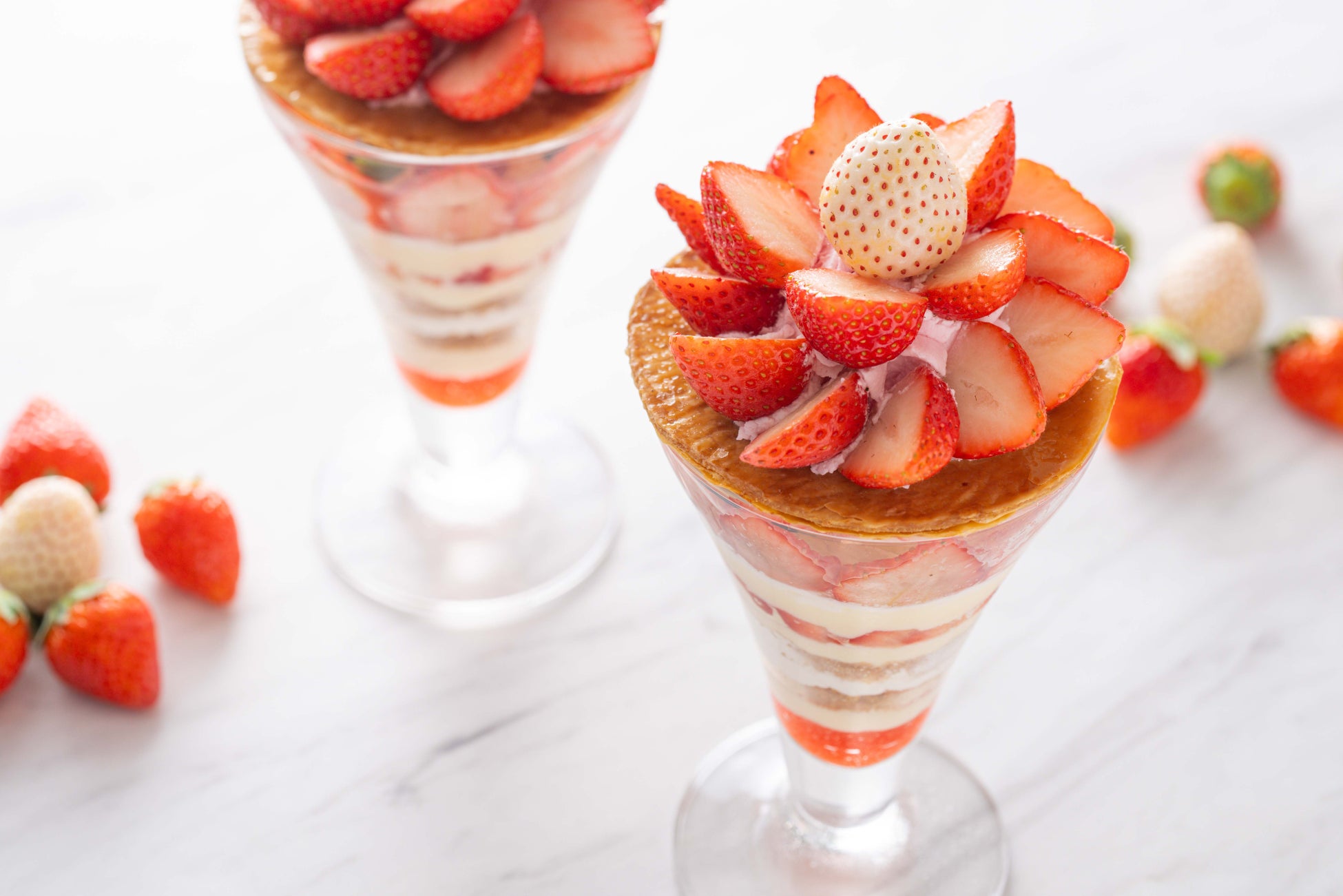 ホテルマイステイズプレミア成田が千葉県の魅力を発信 千産千消グルメ「味わう千葉めぐりフェア」開催