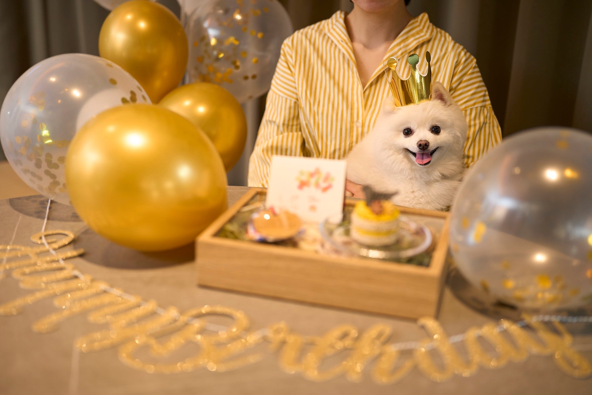 「よみうりランド」×「富士急ハイランド」×「スパリゾートハワイアンズ」『NEXT60共同宣言』スパリゾートハワイアンズで第3弾セレモニー開催