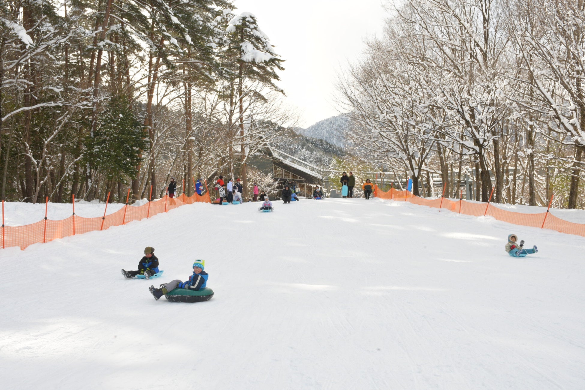 遊び放題、雪まみれ「冬の公園で遊ぼう！」開催｜国営アルプスあづみの公園【大町・松川地区】