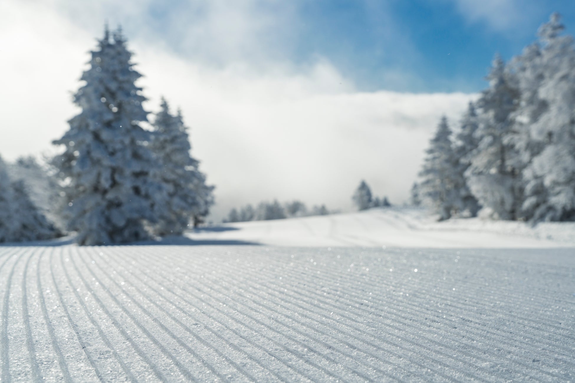 【志賀高原プリンスホテル・志賀高原 焼額山スキー場】極上の雪質、極上の圧雪技術による最高のゲレンデを体験、いつまでも記憶に残り続ける「人生最高の一本」を販売