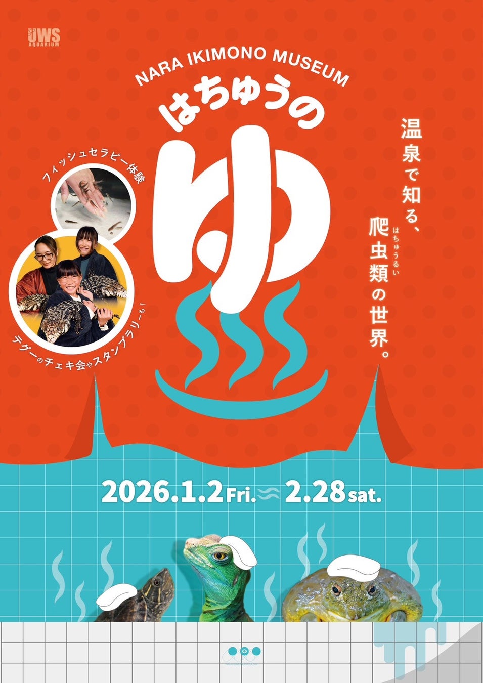 【奈良いきものミュージアム】まるで温泉旅館、でも主役は爬虫類。“湯けむり可愛い”冬の企画展「はちゅうの湯」開催