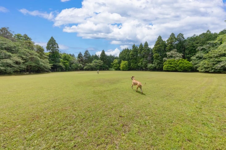 日本のトレンドが訪日客の「課題解決」と共鳴。インバウンド消費に質的変化の兆し？