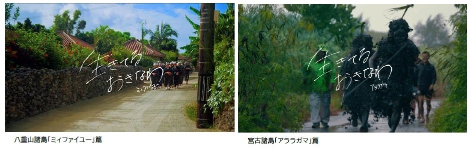 【新商品・2025年10月販売開始】セーフタッチビストロ 30枚入り