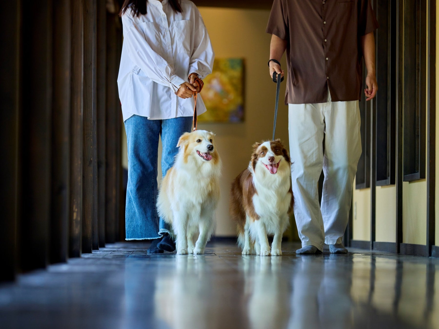 【愛犬と泊まれる古民家リトリート　赤城山 – 懐 -】公式Instagramフォロワー1万人突破記念。2月末までの期間限定で「愛犬2頭分の宿泊費＆お食事」が無料になる特別プランを販売開始