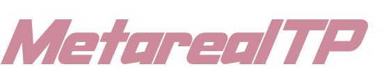 【メタリアル・グループ】法人向けテーマパーク団体利用需要予測AIエージェント「Metareal テーマパーク(Metareal TP)」12/25提供開始