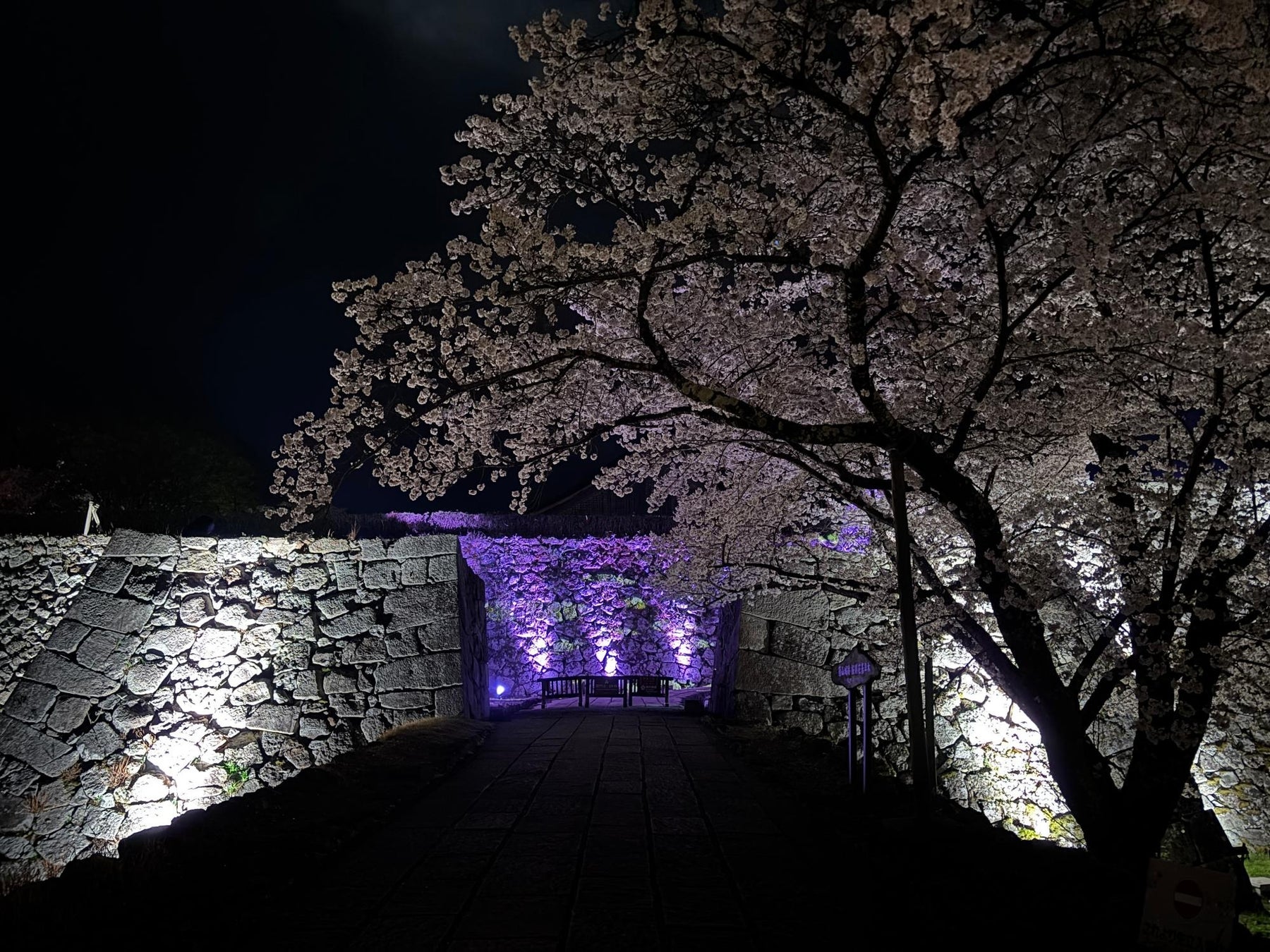夜の丹波篠山をもっと楽しもう！丹波篠山ライトアップ応援プロジェクトクラウドファンディング