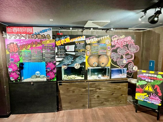 <MIGAKI FARM>いちご狩り1月2日スタート!人気のプレミアムプランが再登場 併設カフェではミガキイチゴたっぷりいちごパフェも