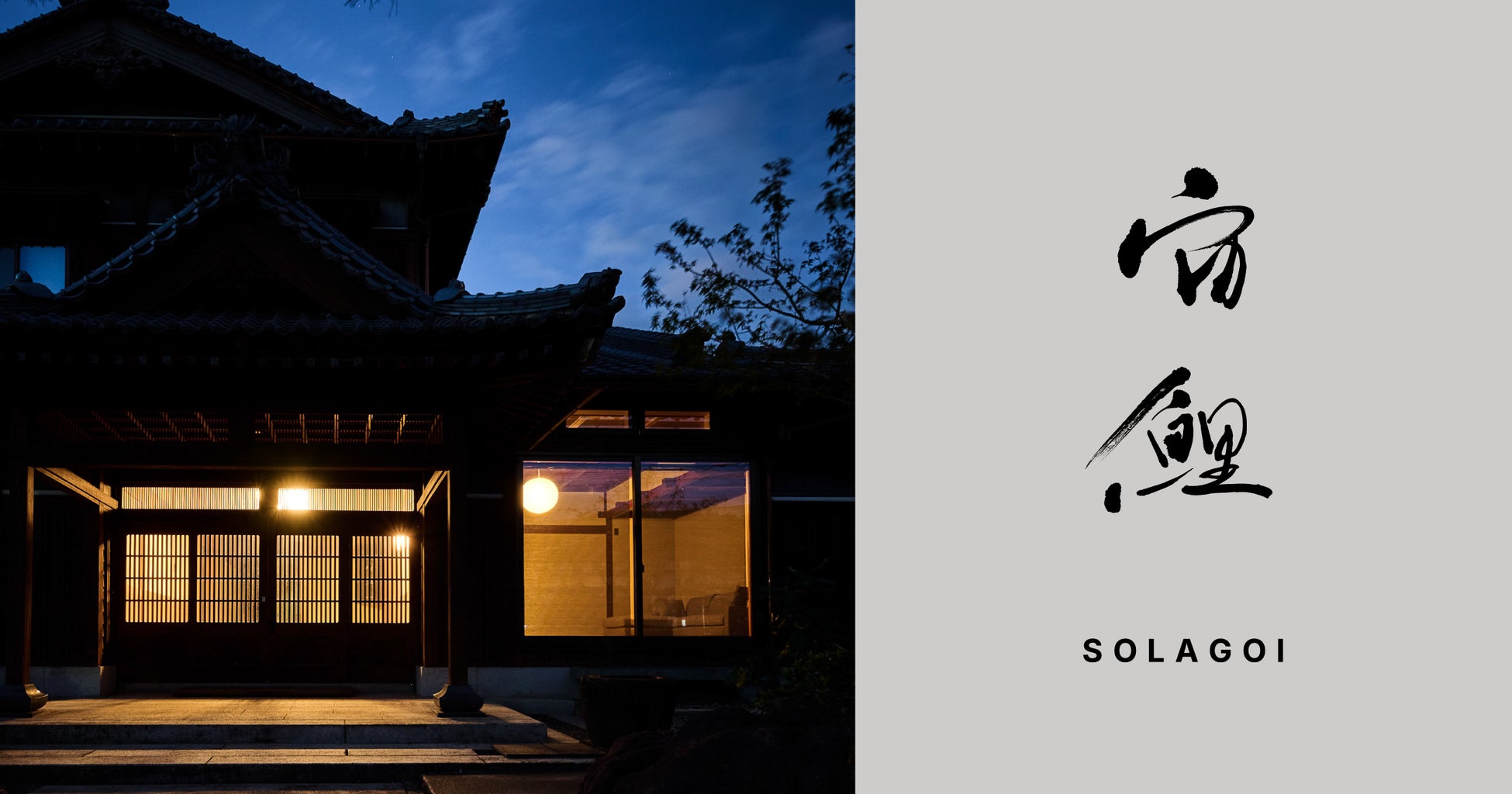 猫たちと迎える、ちょっと特別なお正月。MOFF猫カフェでニューイヤーイベント開催！