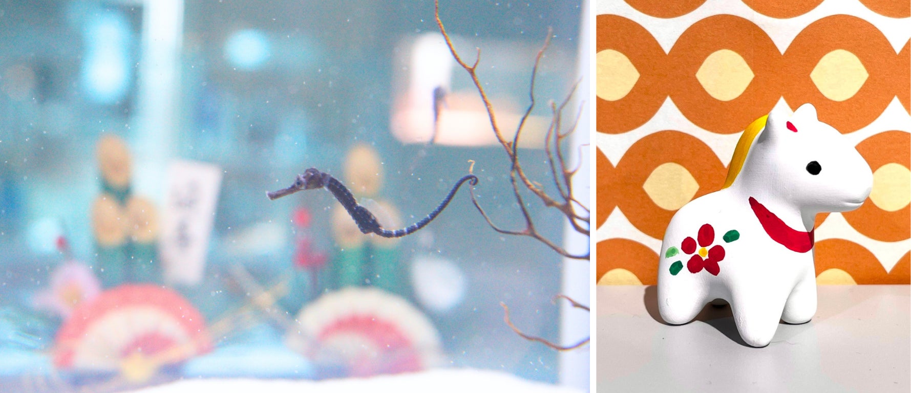 1月2日から始まる、午年がテーマのAOAO SAPPOROで開運を！「開運！ラッキーアクアリウム2026」を開催します