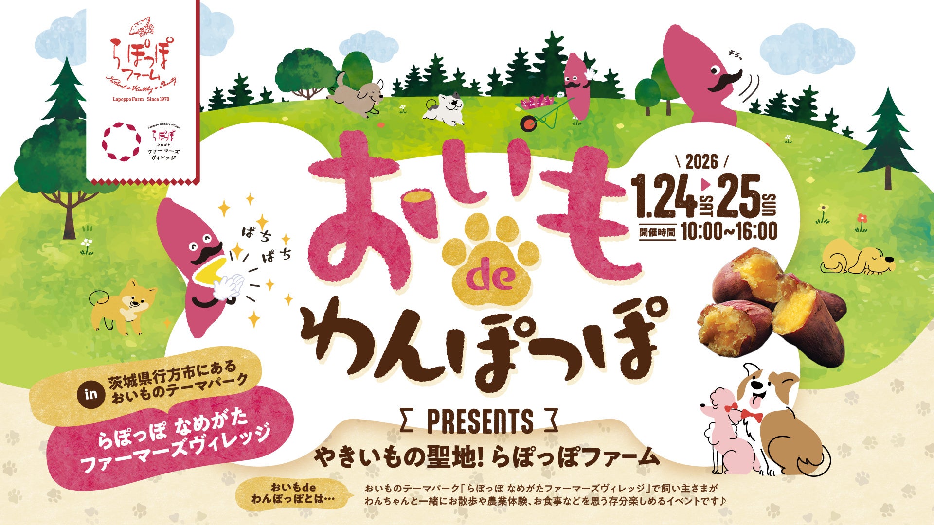 やきいもの聖地でわんちゃんと楽しむ！「おいもdeわんぽっぽ」開催 produced by らぽっぽファーム