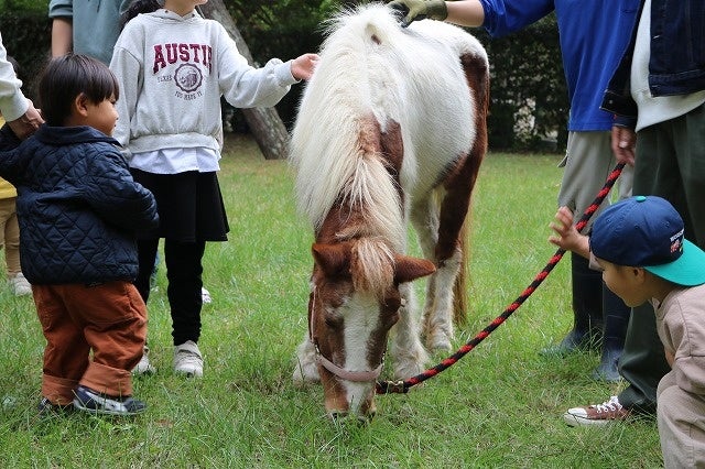 新春にポニーと記念撮影&昔懐かしいお正月遊び【国営海の中道海浜公園】