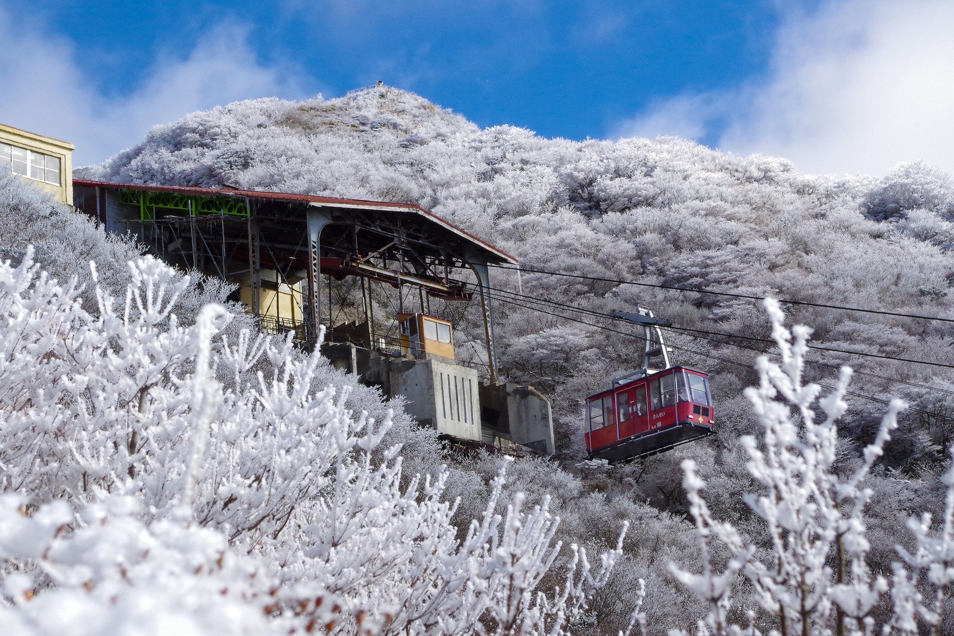 ミシュランが認めた極上の非日常へ。２月限定「雲仙灯りの花ぼうろ」と冬の贅「九絵・ふぐ・長崎牛」に酔いしれて。