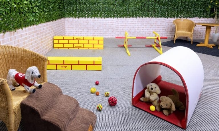 雪の日も、わんちゃんは元気いっぱい！湯本ホロホロ山荘「屋内ドッグラン」で冬のペット旅を快適に。